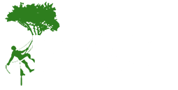 Tree Surgery Borehamwood from Majestic Tree Care Ltd Logo